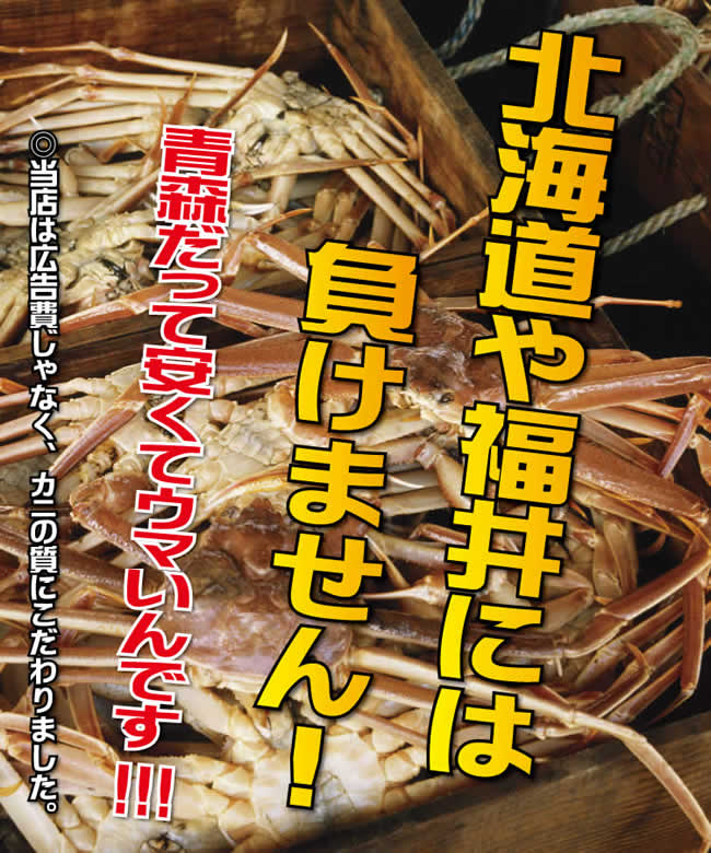 【訳あり】 お得カニしゃぶ(生ズワイ爪下) 500g