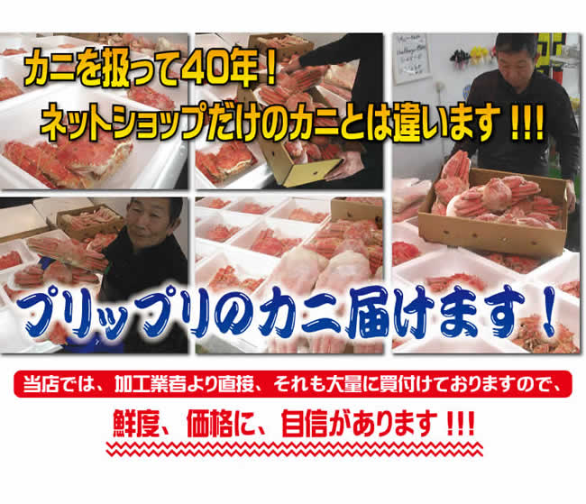 【訳あり】 お得カニしゃぶ(生ズワイ爪下) 500g