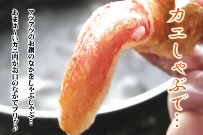 【訳あり】 お得カニしゃぶ(生ズワイ爪下) 500g