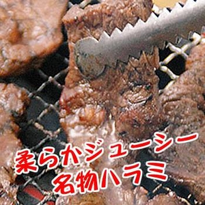 【人気の焼肉】柔らかハラミ肉☆旨いタレ漬け8人前!