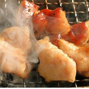 国産豚の特上ホルモン【9人前】たれ付き 写真5