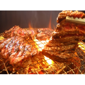 リニューアル!亀山社中 タレ漬けセット 華咲きハラミ&華咲き肩ロース 3.9kg 写真3
